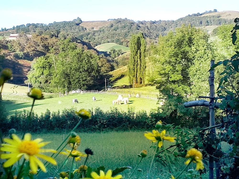 "Chez Naty" Chambres D'Hotes Au Pays-Basque Cheraute Ngoại thất bức ảnh